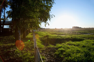 Fence in a field