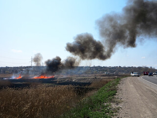 Fire, wildfire, conflagration, burning reeds and trees near the road under high-voltage wires