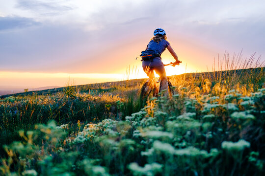 Woman mountain biking in spring flowers