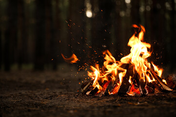 Beau feu de joie avec du bois de chauffage brûlant dans la forêt. Espace pour le texte