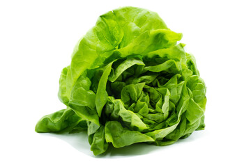 Green lettuce isolated on white background
