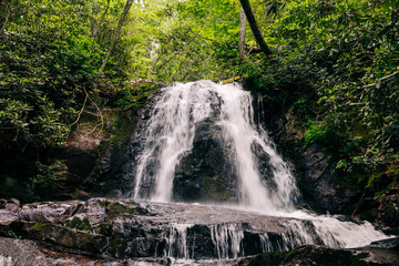 a beautiful and majestic waterfall in the Great Smoky Mountains National Park near Gatlinburg,...