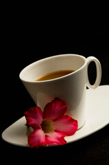 Close-up of a pink flower with a cup of tea