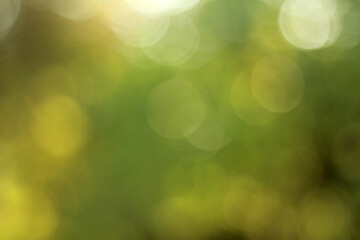 Defocused abstract background from the green bokeh.