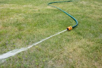 hose with water jet/hose with water jet on the green grass