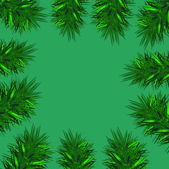 Fototapeta na wymiar Pine branches on a green background. Idea for the holiday, new year and poster.