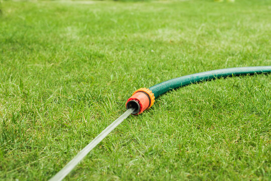 hose with water jet/hose with water jet on the green grass