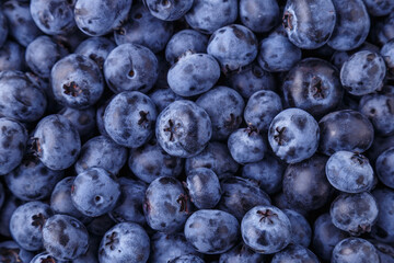 Fresh blueberry background. Blueberry Texture Close Blueberry Antioxidant Organic Superpeed Bowl Concept Healthy Nutrition