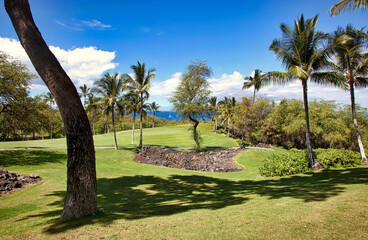 Fototapeta na wymiar A tropical paradise View on Maui, Hawaii