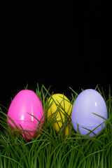 Close-up of Easter eggs in grass