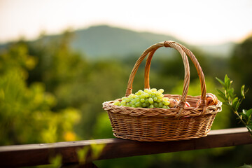 Fototapeta na wymiar eco-friendly basket with grapes and hat made of eco-material, against the background of mountains and autumn nature