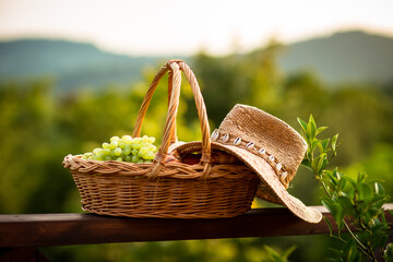 eco-friendly basket with grapes and hat made of eco-material, against the background of mountains...