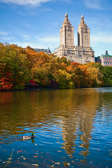 Duck swimming in lake with skyscrapers in the background, Central Park, Manhattan, New York City, New York State, USA