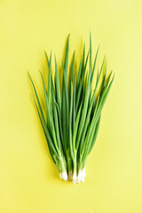 Fresh green onion