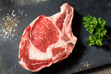 Raw Grass Fed Ribeye Steak
