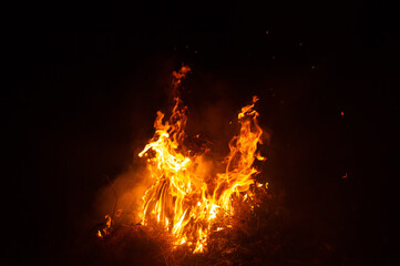 Night bonfire close-up with free space.