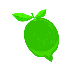 Lime slice, green, lemon, vector graphics, segmented on a white background.