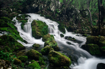 waterfall in the forest