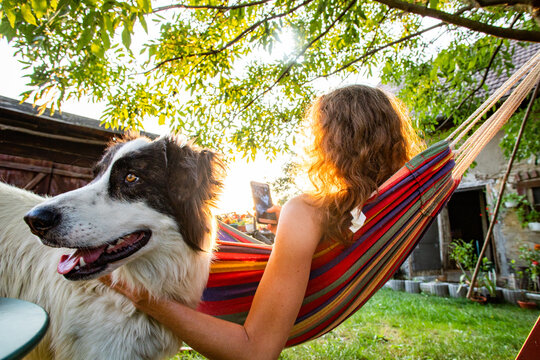 woman with dog relaxing in hammock in back yard
