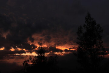 Fototapeta premium fire in the forest