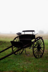 Fototapeta na wymiar Horse cart in a field, Loma Verde, Buenos Aires, Argentina