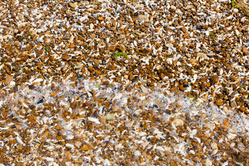 Pebbles on a Beach, Backgrounds, Textures, Pebble, Pebble Beach, Ocean, Stone Texture Background