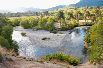 Obraz premium River flowing through a forest, Villa Pehuenia, Neuquen Province, Argentina