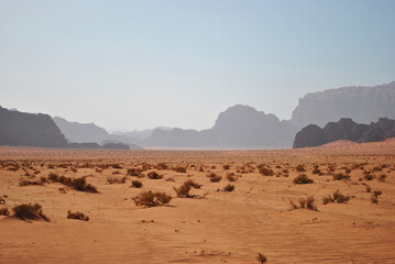 Panoramic landscape of the Wadi Rum desert. Sand, rocks and scarce vegetation.