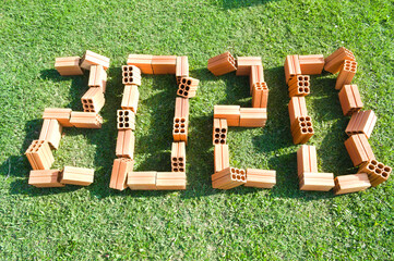 2020 canceled made in bricks on the grass