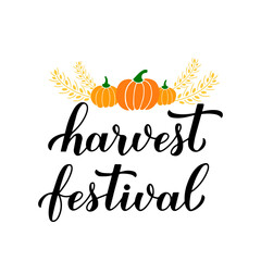Harvest festival calligraphy lettering with hand drawn pumpkins and wheat ears isolated on white. Vector template for banner, typography poster, flyer, postcard, sticker, logo design, etc