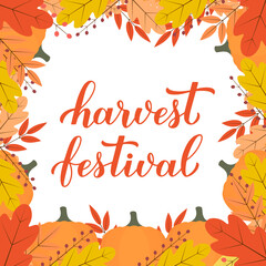 Harvest festival calligraphy lettering with colorful autumn leaves, pumpkins and berries. Vector template for banner, typography poster, flyer, postcard, logo design, etc