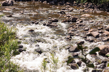 High angle view of Kauaeranga River with rapids in New Zealand