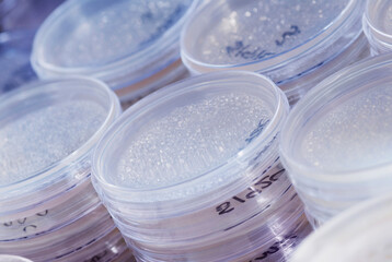 Close-up of stacks of Petri dishes