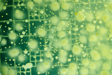 Microscopic view of the molecules of a substance