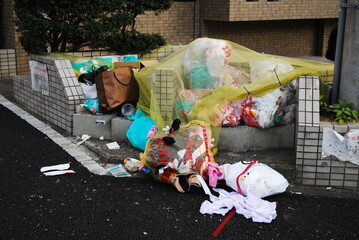 ゴミ捨場