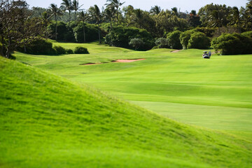 Panoramic view of a golf course 