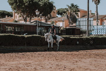 Caballo español en una hipica en andalucia con su Jinete Amazona montandolo con sus riendas y...