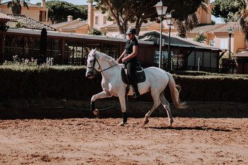 Caballo español en una hipica en andalucia con su Jinete Amazona montandolo con sus riendas y...