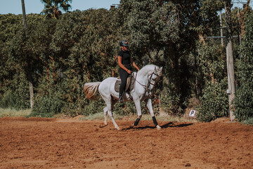 Caballo español en una hipica en andalucia con su Jinete Amazona montandolo con sus riendas y...