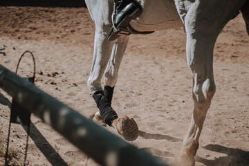 Caballo español en una hipica en andalucia con su Jinete Amazona montandolo con sus riendas y...