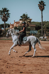 Caballo español en una hipica en andalucia con su Jinete Amazona montandolo con sus riendas y...