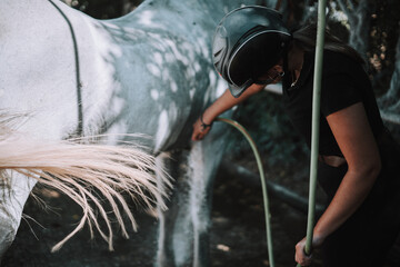 Caballo español en una hipica en andalucia con su Jinete Amazona montandolo con sus riendas y...