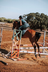 Caballo español en una hipica en andalucia con su Jinete Amazona montandolo con sus riendas y...