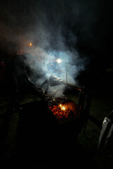 Barbacoa en el bosque de Rumania / Barbecue in the forest of Romania