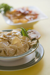 Close-up of a bowl of bow tie pasta