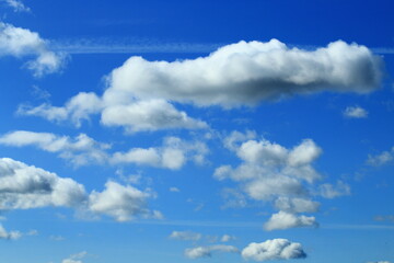 Fototapeta premium white clouds in the blue Polish sky 