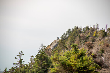 Rocky coast by the edge of the ocean in summer
