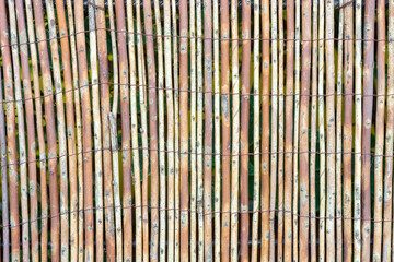 Fragment of a fence made of thin rods