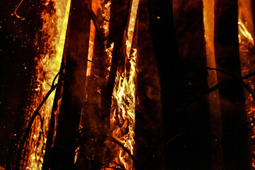 madera ardiendo en Fiesta en el bosque Rumania, quemando madera / wood burning at Festival in the...