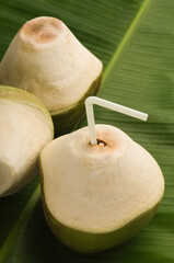 Close-up of green coconuts